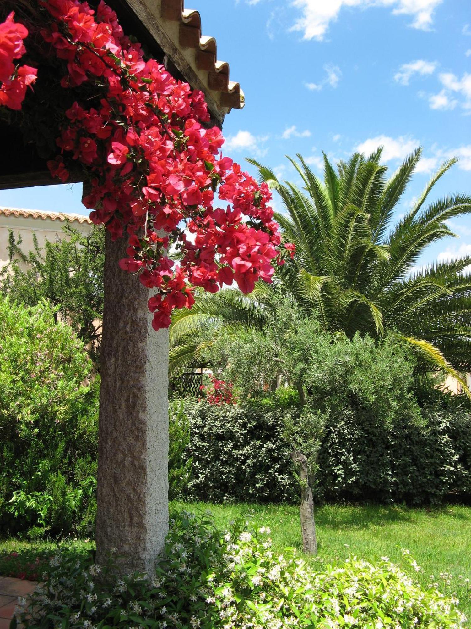 Porto Ottiolu Resort Dış mekan fotoğraf